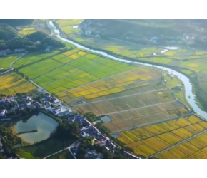 湖南水稻种植条件