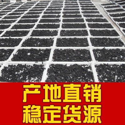 大连深海底播纯淡干海参干货批发50g 大型海参工厂稳定一手货源 2盒起批