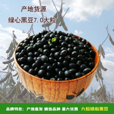 产地货源东北大豆批发青仁乌绿心黑豆7.0mm大粒 非转基因豆类杂粮两件起批