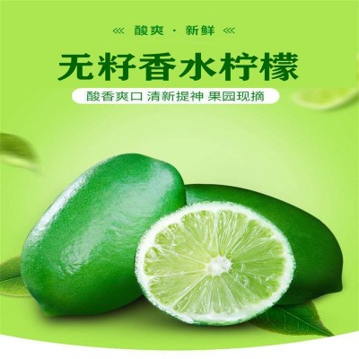 广东香水柠檬无籽热带当季新鲜水果批发奶茶店海南青柠檬整箱包邮两件起批