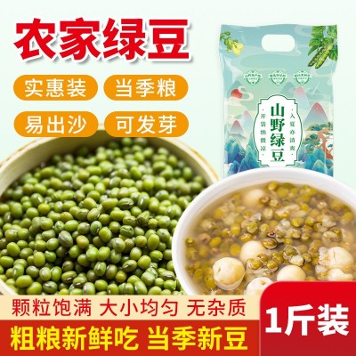 山野源粮绿豆真空装 新鲜农家绿豆 粮油颗粒饱满肉多皮薄500g绿豆