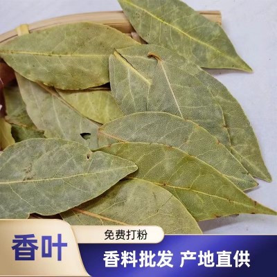 香叶 散装批发 辛料大全 调味料 新货干货香 2千克起售