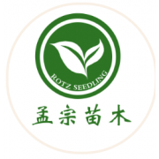 企业logo