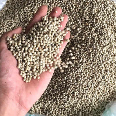 白胡椒500克 批发白胡椒粒现磨黑白胡椒粉腌肉调味香料粉火锅汤