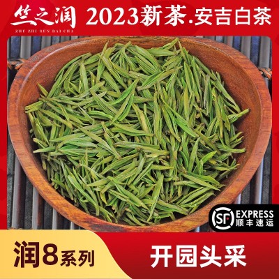 【2023年新茶】竺之润正宗安吉白茶明前精品250克开园头采嫩芽花