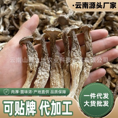 鹿茸菇干货厂家鹿茸菌脆脆菇云南特产品甄选整箱代发批发煲汤菌菇