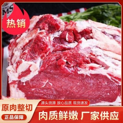 筋头巴脑牛肉 肉质柔软 富诚 新鲜现杀 涮火锅煮炖食材